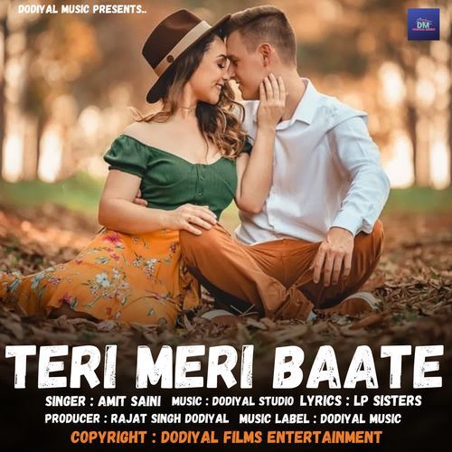 Teri Meri Baate