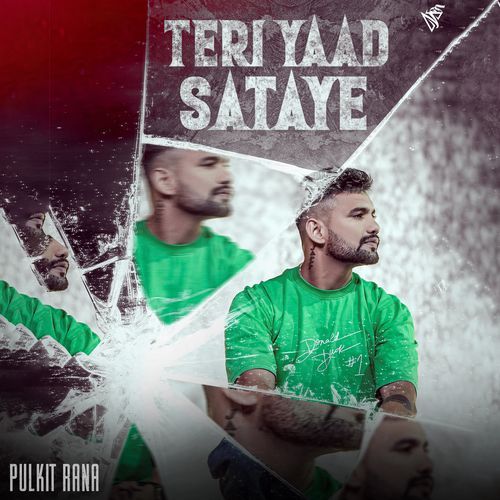 Teri Yaad Sataye
