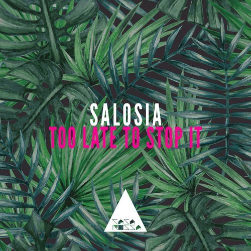 Too Late to Stop It - Salosia Remix