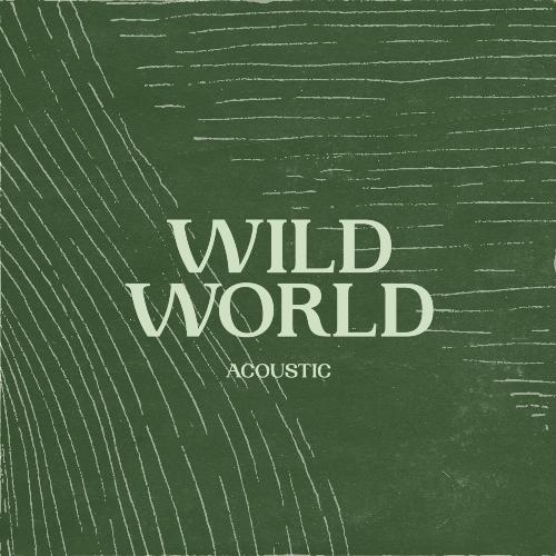 Wild World (Acoustic)_poster_image