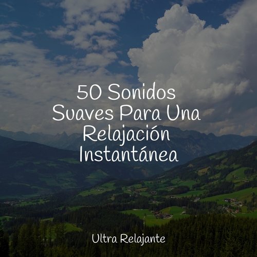 50 Sonidos Suaves Para Una Relajación Instantánea