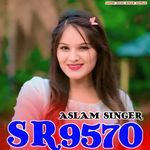 Aslam Singer Sr9570
