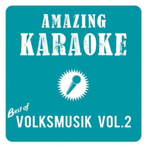 Best of Volksmusik, Vol. 2 (Karaoke)