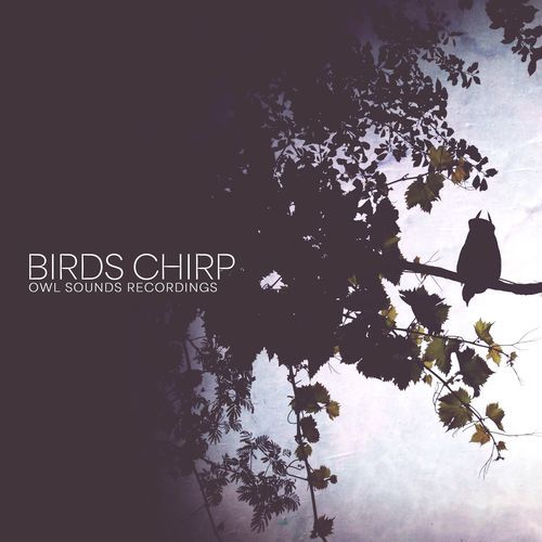 Birds Chirp_poster_image