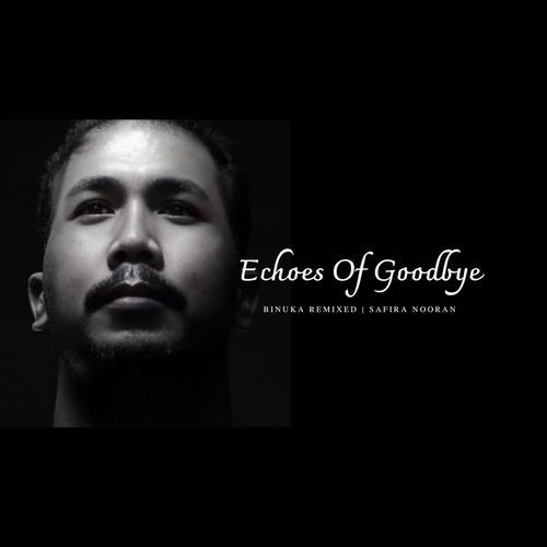 Echoes of Goodbye (feat. Safira Nooran)
