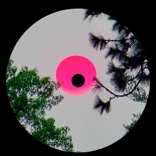 Skylume cover art