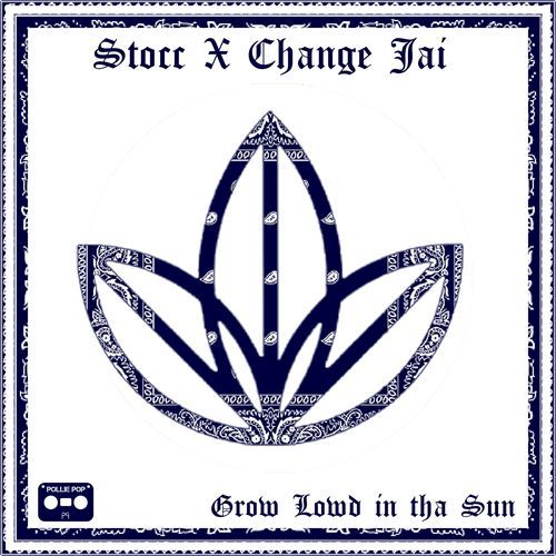 Converted my cash into Sundial Growers Assets cover art