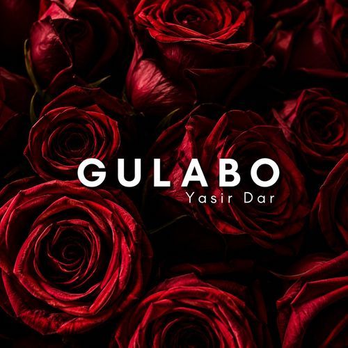 Gulabo