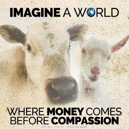 Imagine a World Where Money Comes Before Compassion (Animal Rights)