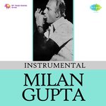 Instrumental Milan Gupta