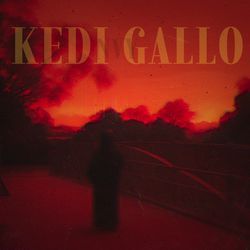 Kedi Gallo-RBAsABF3VQI