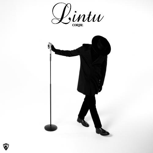 Lintu_poster_image