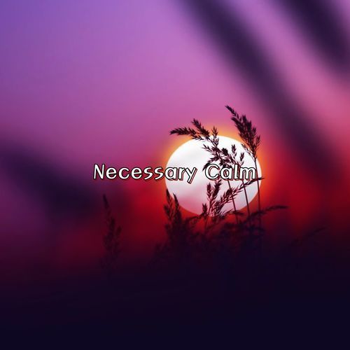 Necessary Calm
