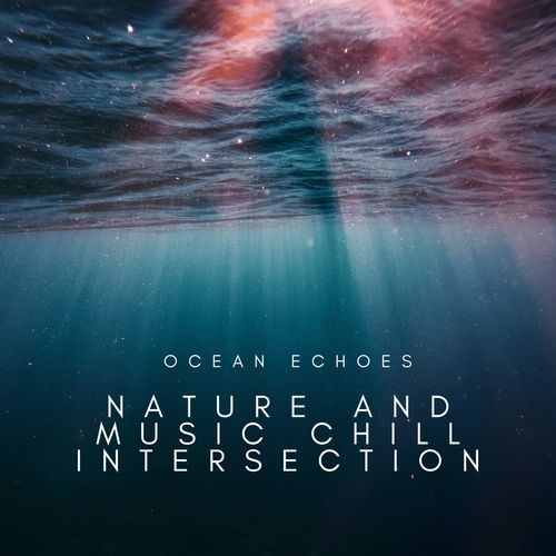 Ocean Echoes: Nature and Music Chill Intersection_poster_image