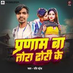 Parnam Ba Tora Dhori Ke