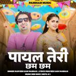 Payal Tere Cham Cham