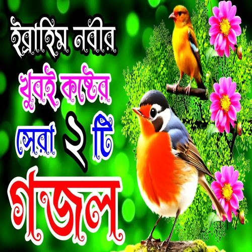 Qurbanir Heart Touching Bangla Gazal