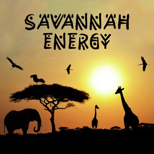 African Drums cover art