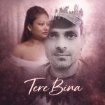Tere Bina