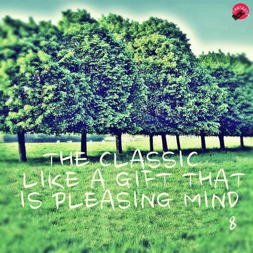 The Classic Like a Gift That is Pleasing Mind 8