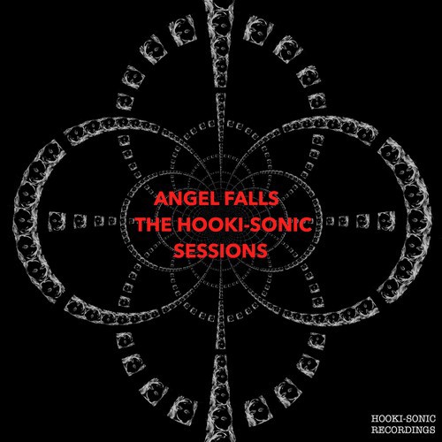 The Hooki-Sonic Sessions