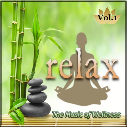 The Music of Wellness 'Relax', Vol. 1