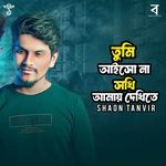 Tui Aiso Na Sokhi Amay Dekhite