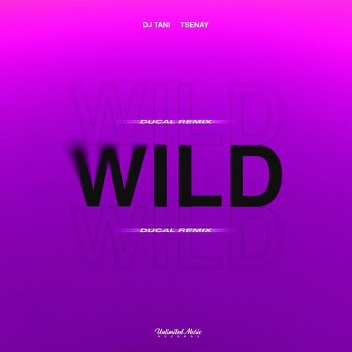 Wild (Ducal Remix)