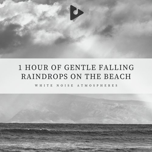 1 Hour of Gentle Falling Raindrops on the Beach