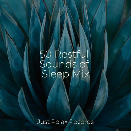 50 Restful Sounds of Sleep Mix