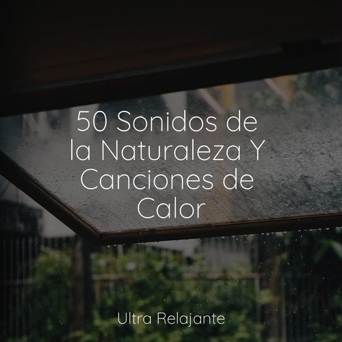 Sonidos Relajantes cover art
