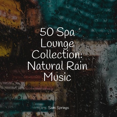 50 Spa Lounge Collection: Natural Rain Music_poster_image