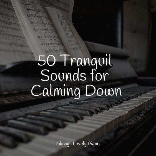 50 Tranquil Sounds for Calming Down