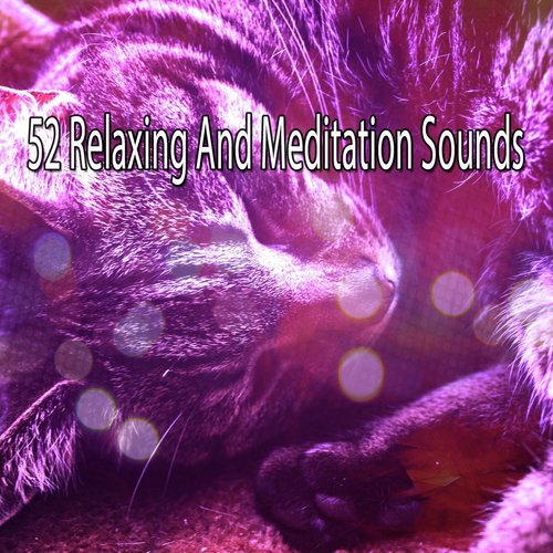52 Relaxing And Meditation Sounds