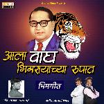 Aala Wagh Bhimrayachya Rupat