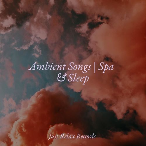 Ambient Songs | Spa & Sleep_poster_image