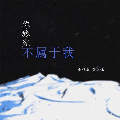 你终究不属于我 cover art