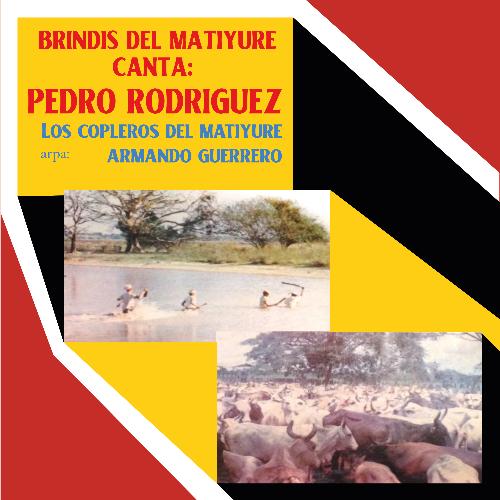 Llanerita del Arauca cover art
