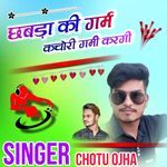 Chhabra Ki Garam Kachori Garmi Kargi