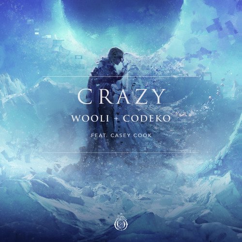 Crazy (feat. Casey Cook)