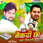 Deke Naukari Chha Gaye Tejaswi