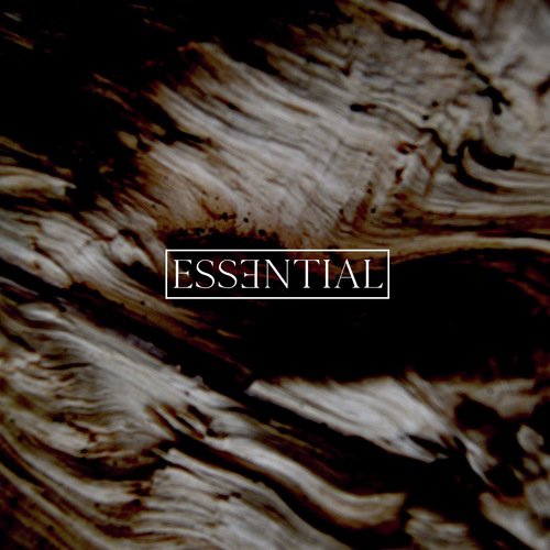 ESSENTIAL 016