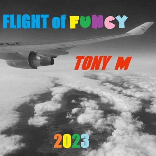 Flight of Funcy_poster_image