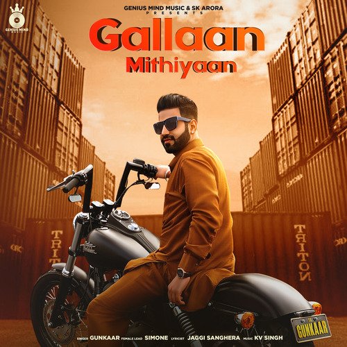 Gallaan Mithiyaan_poster_image