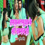 Hamra Balamua Ke Bhare Na Man Ho