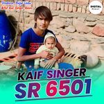 Kaif Singer SR 6501
