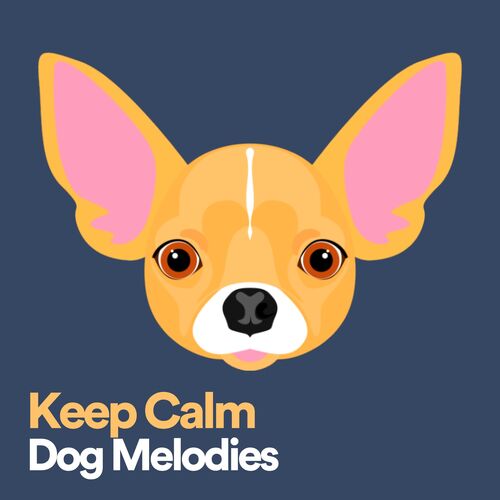 Keep Calm Dog Melodies_poster_image