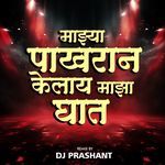 Majhya Pakharan Kelay Maza Ghat (Dj Prashant)