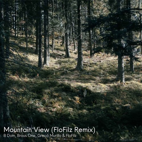 Mountain View (FloFilz Remix)_poster_image