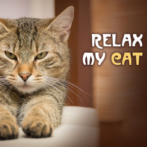 Relax My Cat - Soothing Music for Cats and Pets at Home Alone, Pet & Dog Relaxation